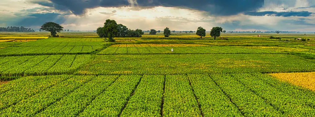 Mohammad Umar Ashrafi Foundations Return home